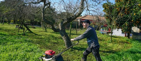 Garden tidy-up and clean-up service Brisbane Scenic Rim